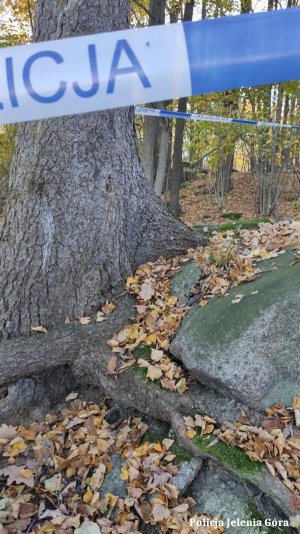 Policja zabezpieczała miejsce znalezienia pocisków