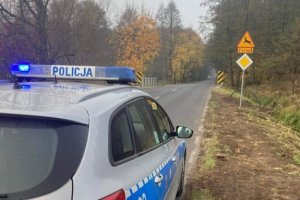 Jeleniogórscy policjanci ostrzegają Uwaga na dzikie zwierzęta na drogach