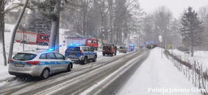 Służby zaangażowane do poszukiwań