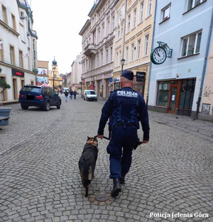 Policjant przewodnik z psem