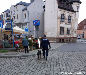 Policjant z psem w patrolu