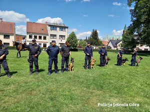 policjanci z psami