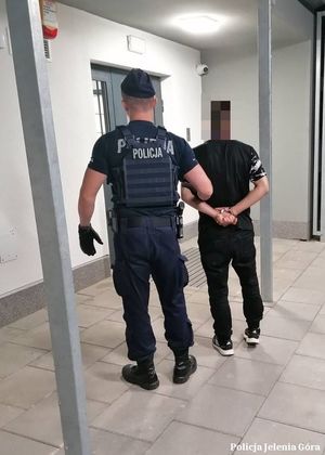 Kobieta siłą próbowała uwolnić swojego partnera z rąk policjantów, w efekcie  razem skończyli w policyjnym areszcie