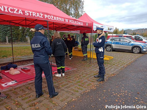 policjanci na akcji