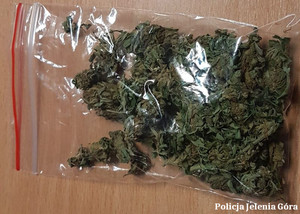 Zabezpieczona marihuana