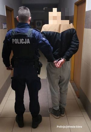 Policjant prowadzi poszukiwanego