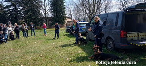 policjanci z psami