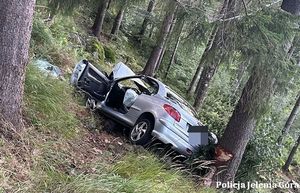 Nietrzeźwa kierująca wypadła z drogi i uderzyła w drzewo. Okazało się, że miała blisko 0,8 promila