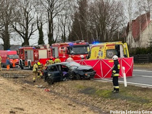 Radomierz, służby udzielają pomocy