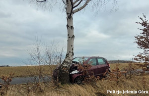 Mercedes po uderzeniu w drzewo