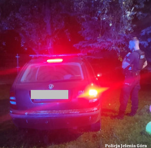 Policjant podczas kontroli