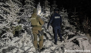 Policjanci i leśnicy z Kowar apelują! Święta w zgodzie z naturą – nielegalna wycinka choinek pod lupą mundurowych