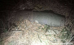 zabezpieczone pociski i zapalniki