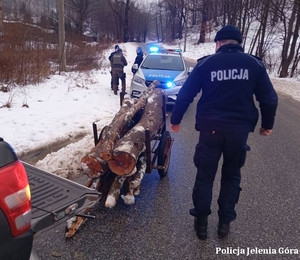 wspólne działania policji i strażników leśnych