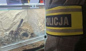 Szkolenie dolnośląskich policjantów z zakresu konwencji CITES