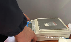 Jeleniogórscy policjanci zabezpieczyli w wynajmowanym lokalu narkotyki