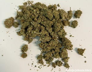 zabezpieczona marihuana