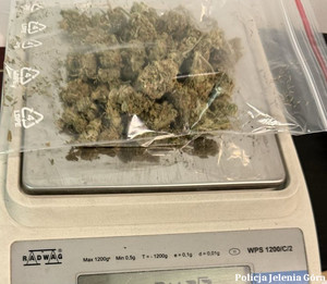zabezpieczona marihuana