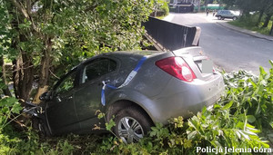 radiowóz, auto