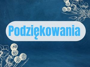 Policjanci z Jeleniej Góry z pomocą w potrzebie. Wyrazy wdzięczności od kierowcy
