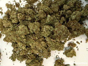 Posiadał w domu narkotyki. Policjanci zabezpieczyli znaczne ich ilości