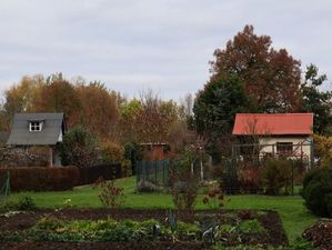 policjanci na działce