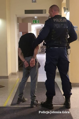 zatrzymany sprawca kradzieży