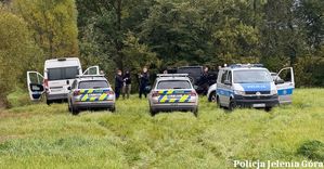 Jeleniogórscy policjanci po pościgu zatrzymali 30-latka podejrzewanego między innymi o kradzież pojazdu i czynną napaść na funkcjonariusza