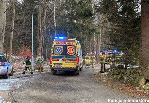 Pożar i działanie służb