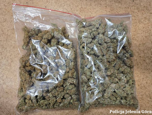 zabezpieczone narkotyki