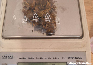 zabezpieczone narkoktyki