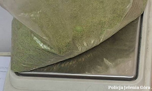 zabezpieczone narkoktyki