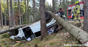 zdarzenie na drodze wojewódzkiej