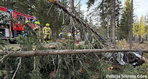 zdarzenie na drodze wojewódzkiej
