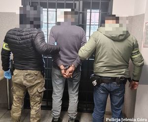 Wniosek o deportację 52-latka notorycznie naruszającego prawo