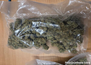 Narkotyki w mieszkaniu – dwaj mężczyźni zatrzymani przez jeleniogórskich policjantów