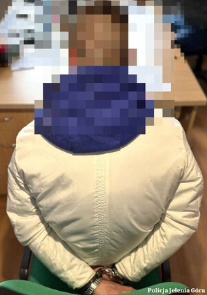 czynności z zatrzymanym