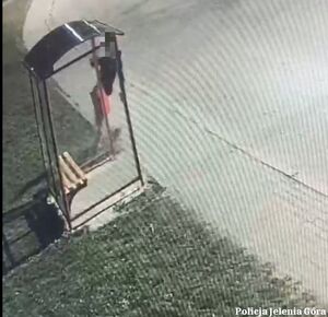 zdjęcie z monitoringu