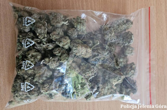 Narkotyki zabezpieczone przez policjantów – 29-latek z zarzutami