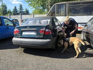 policjantka na zawodach z psem