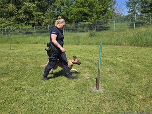 policjantka na zawodach z psem