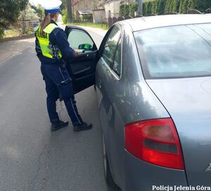 Policjantka podczas kontroli
