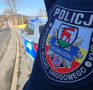 napis policja