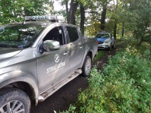 Na pierwszym planie policjant wraz z mężczyznami zatrzymanymi za nielegalny wjazd do lasu na motocyklach crossowych. Pojazd służbowy straży leśnej, a na trzecim zatrzymani crossowcy.