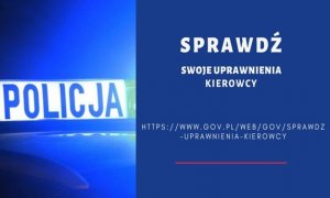 Sprawdź uprawnienia kierowcy na stronie gov.pl