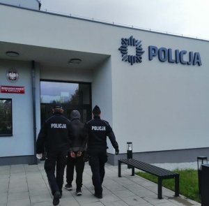 Wykorzystał chwilową nieobecność właściciela i okradł jego mieszkanie. Wpadł w ręce jeleniogórskich policjantów.